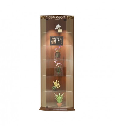 Corner Showcase WCS-101